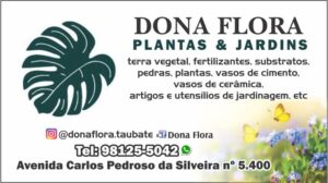 Dona Flora Plantas